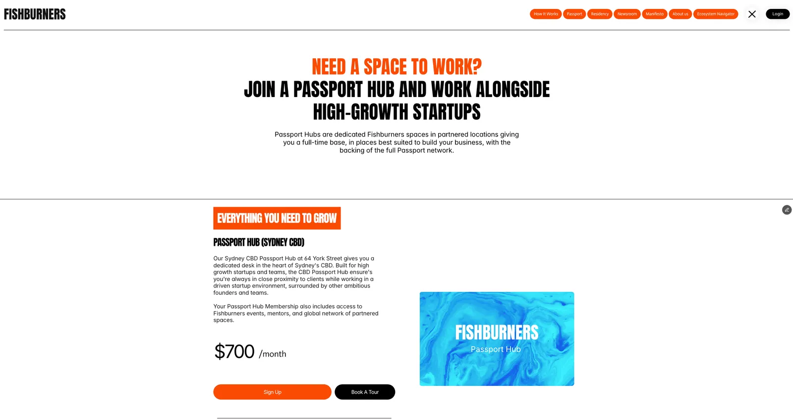 Fishburners website screenshot 2